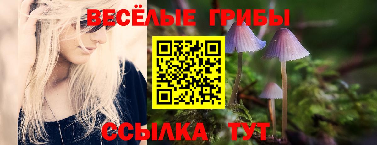 продажа наркотиков  Галлюциногенные грибы прущие грибы  Вход с VPN  Красногорск 