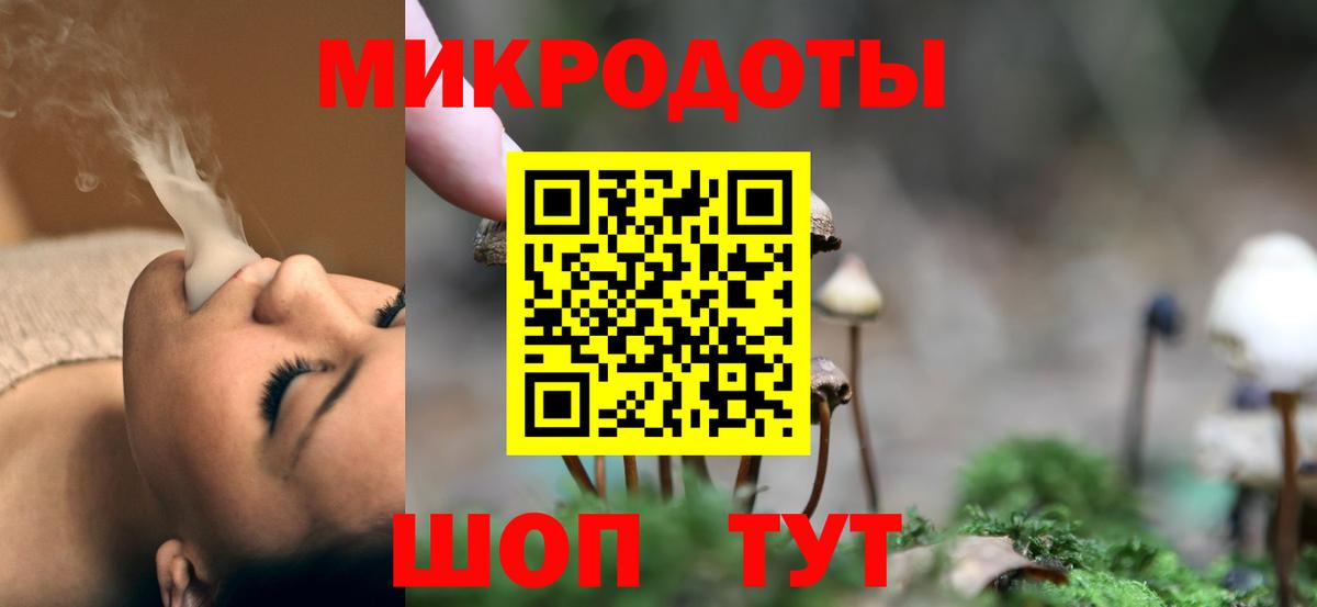 Псилоцибиновые грибы Psilocybine cubensis Красногорск